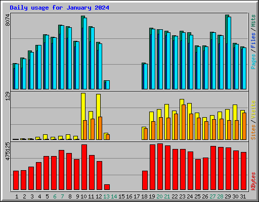 Daily usage for January 2024