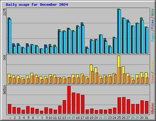 Daily usage for December 2024