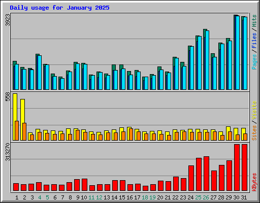 Daily usage for January 2025