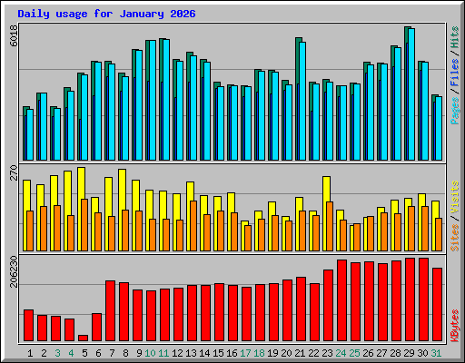 Daily usage for January 2026