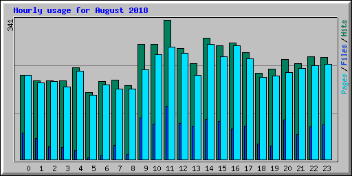 Hourly usage for August 2018