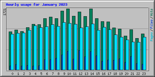Hourly usage for January 2023