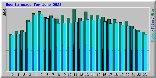 Hourly usage for June 2023