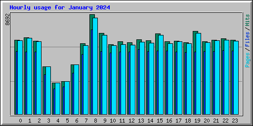 Hourly usage for January 2024