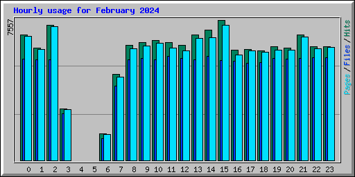 Hourly usage for February 2024