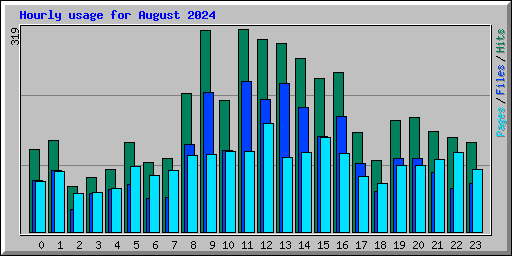 Hourly usage for August 2024