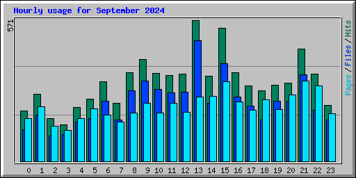 Hourly usage for September 2024