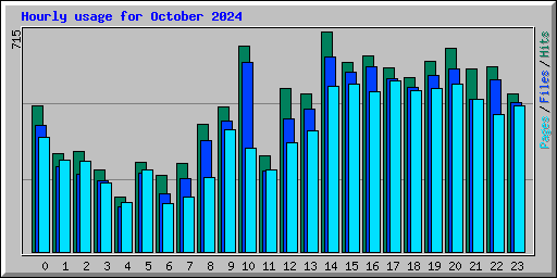 Hourly usage for October 2024