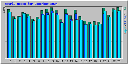 Hourly usage for December 2024