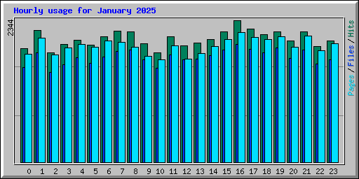 Hourly usage for January 2025