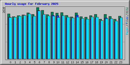 Hourly usage for February 2025