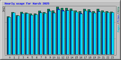 Hourly usage for March 2025