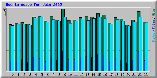 Hourly usage for July 2025