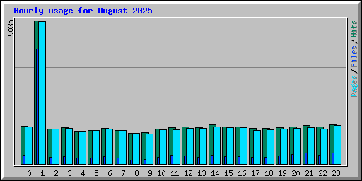 Hourly usage for August 2025