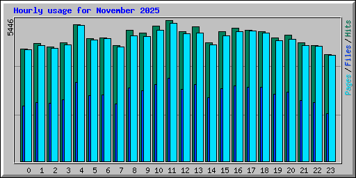 Hourly usage for November 2025