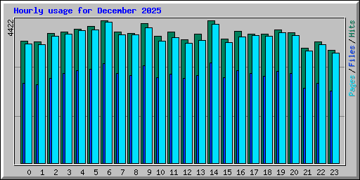 Hourly usage for December 2025