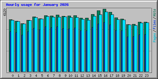 Hourly usage for January 2026