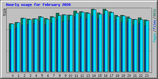Hourly usage for February 2026