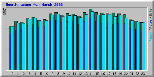 Hourly usage for March 2026